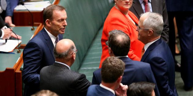 Former Prime Minister Tony Abbott chats with Prime Minister Malcolm Turnbull.