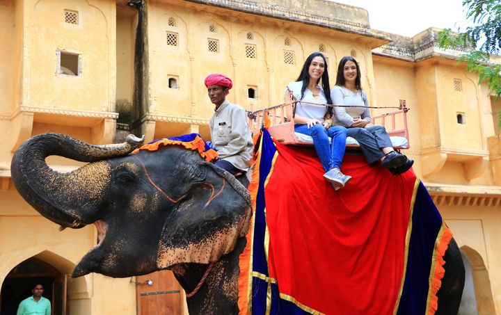 The practise of riding elephants is common in India, but is seen as highly controversial