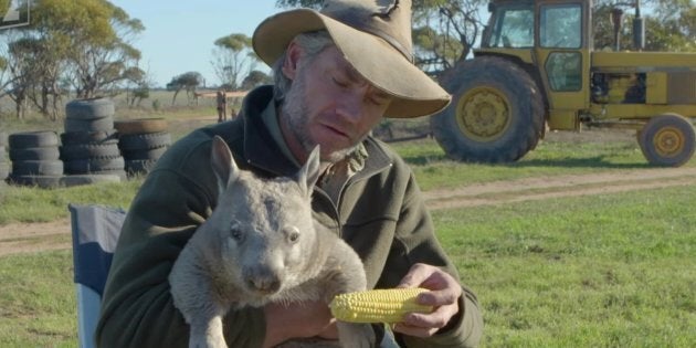 Pete the Farting Wombat