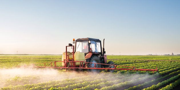 A tractor applies pesticides to a soybean field. 