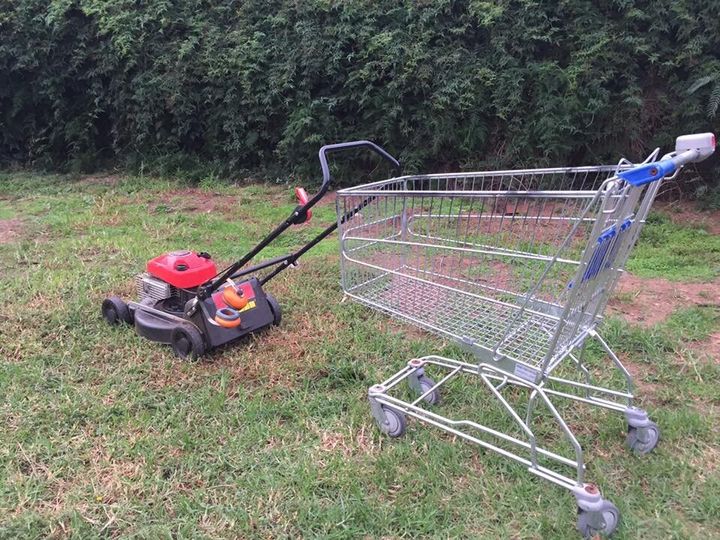 "I've taught Trevor how to use the lawnmower. My teenage kids don't know this skill," Mitchell wrote.