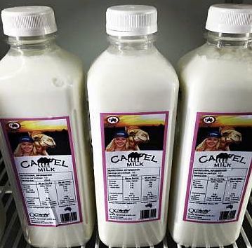 QCamel's milk is stocked in retail outlets throughout Queensland, NSW and the ACT as well as being sold on their website.