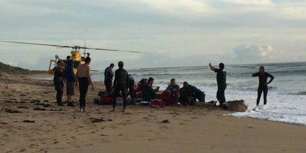 The incident occurred around 4pm when the boy was surfing with friends.