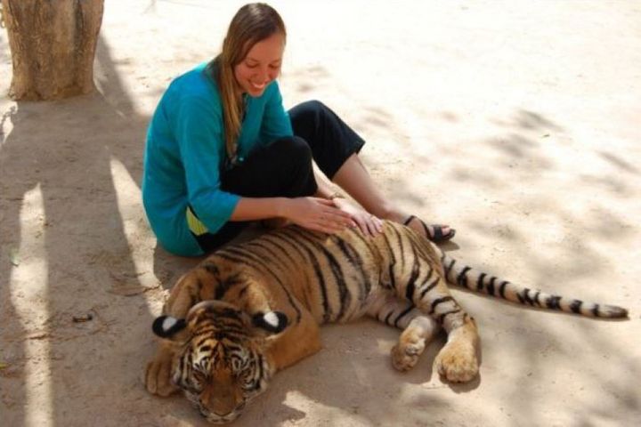 Cayla at the Tiger Temple in 2009.