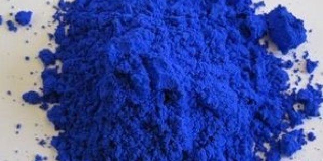 YInMn blue, in all its vibrant glory.