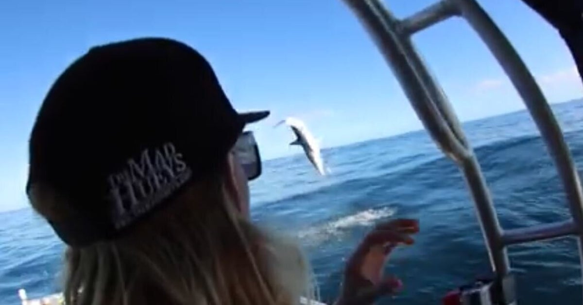 This Ridiculous Video Slipped Through The Cracks While We Waited For A