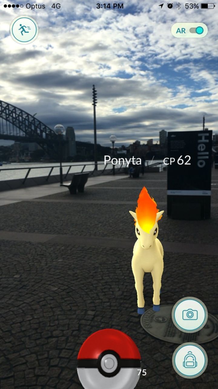 Catch Ponyta by Sydney's Harbour Bridge.
