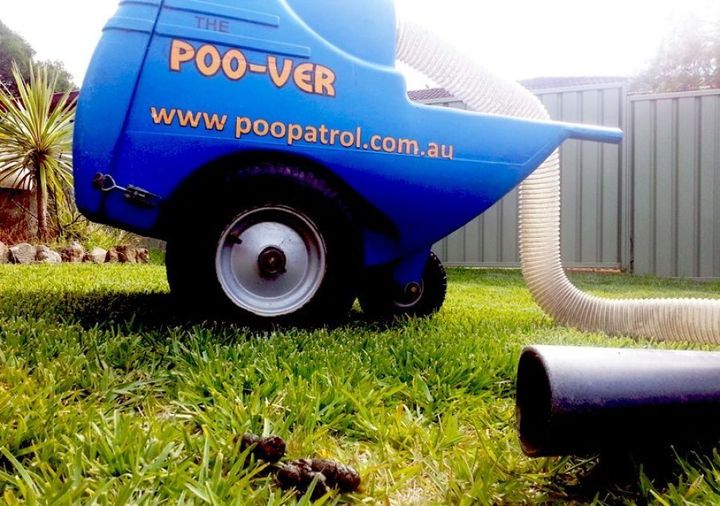 Sydney-based company Poo Patrol take your dog's business seriously.
