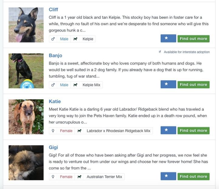 Pet profiles online allow potential owners to find a pet much more easily than racing around in a car visiting shelters, and have boosted the numbers of animals adopted.