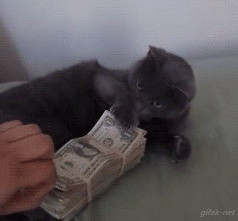 Some kittens, er, people just don't like letting go of their cash.