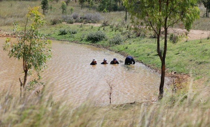 February 2015: Police divers perform a dam search on farm land near Calgaroo Avenue, where Ms McBride was last seen.