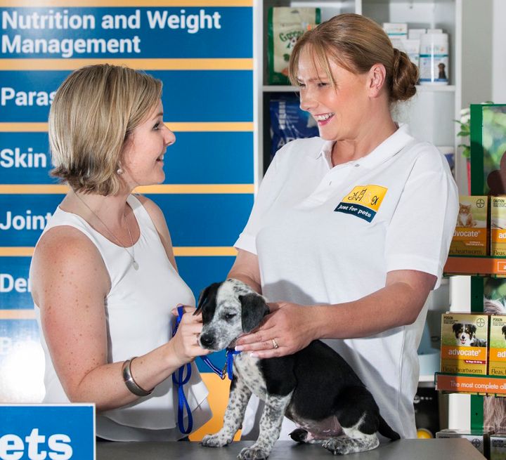 Pet owners are increasingly opting for preventative health checks rather than just taking their pets to the vet when they're ill or need vaccinations.