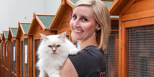 Ebony Centazzo borrowed $20,000 from her parents to launch her cat daycare and boarding business.