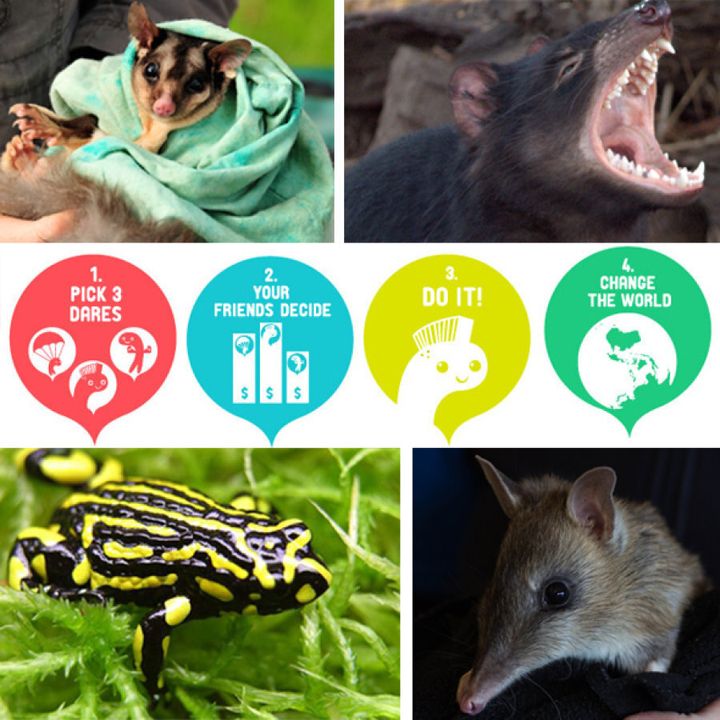 Proceeds from dare pledges goes to help save Aussie animals including the squirrel glider, Tasmanian devil, southern corroboree frog and the eastern barred bandicoot.