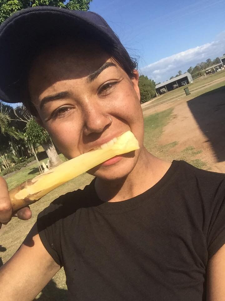 Ayliffe-Chung, nicknamed 'Mimi', regularly posted updates of her travels in Australia on social media. This post read "Day 4 done. Just 85 left! Skills achieved; the ability to tell the difference between a rock and a clump of mud and throwing stones really far. The sun is too hot. Stupid Australia."
