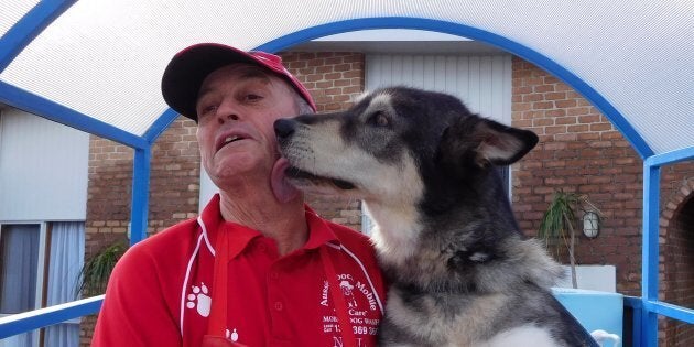 New franchisee Neil Proctor has become an instant hit with his new 'customers' like Tahli the husky.
