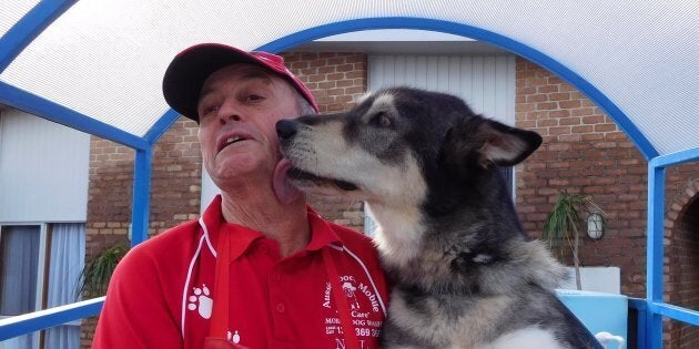 New franchisee Neil Proctor has become an instant hit with his new 'customers' like Tahli the husky.