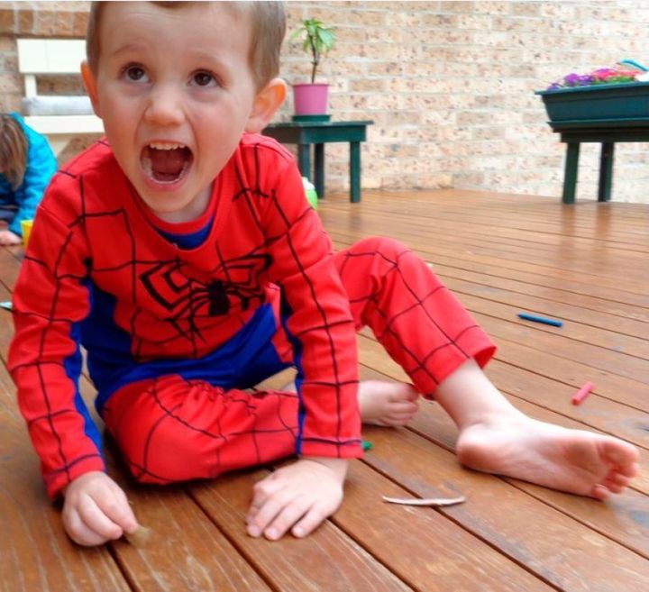 William Tyrrell was wearing a Spiderman suit when he went missing.