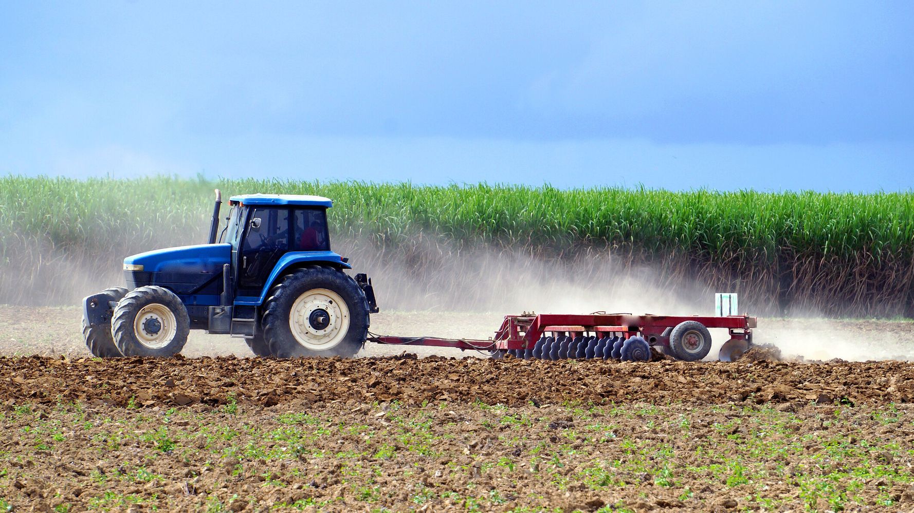 what-is-peak-phosphorus-and-how-will-it-affect-you-in-the-future