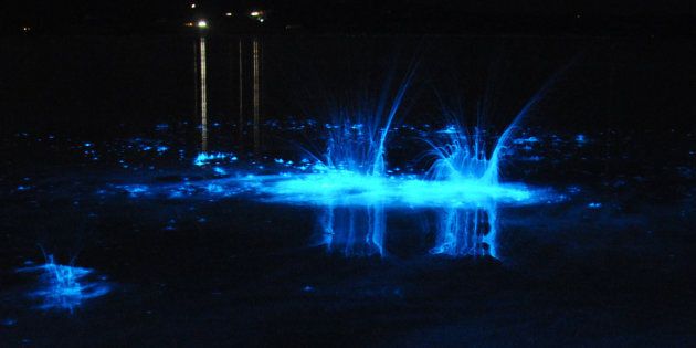 Waves could be seen glowing from hundreds of metres away.