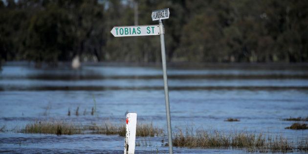A leaking levee has prompted at evacuation order for part of Wangaratta in Victoria.