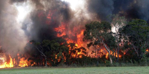 Fire authorities are in for another tough day on Monday with more than 50 bushfires burning around NSW.
