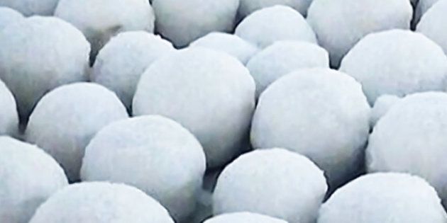 A small group of thousands of snowballs found on a beach near the village of Nyda in northwest Siberia