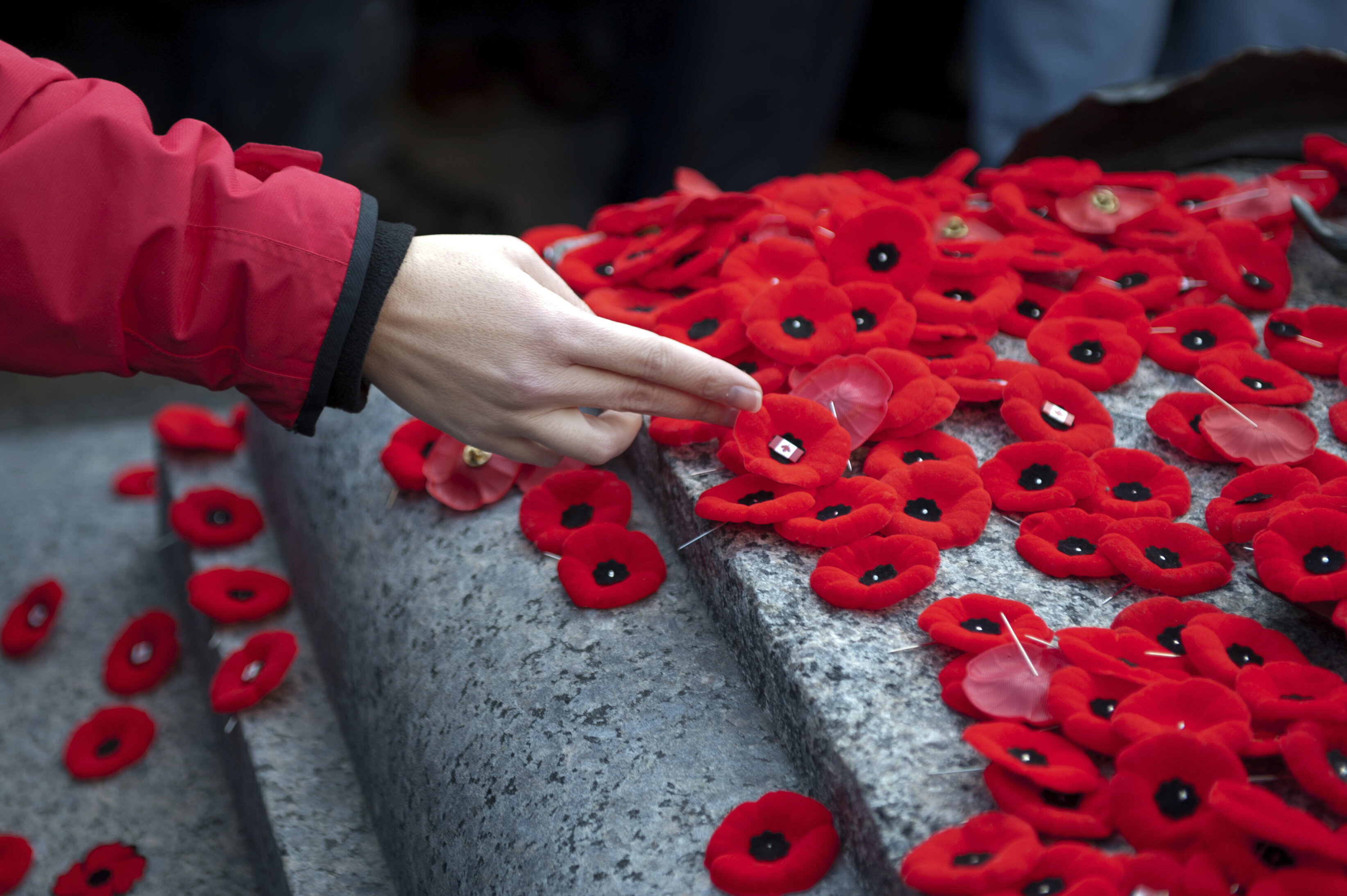 Why We Wear Poppies On Remembrance Day | HuffPost News