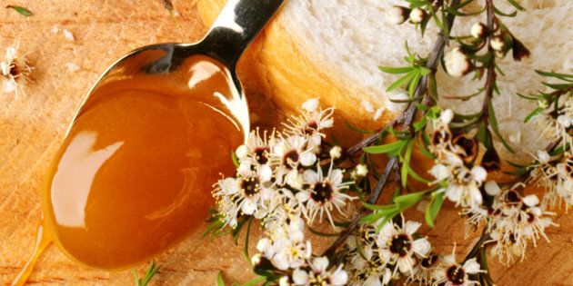 Manuka honey is great spread on bread, but it's also a bacteria-fighting salve.