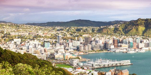 Wellington city center and harbour at sunrise