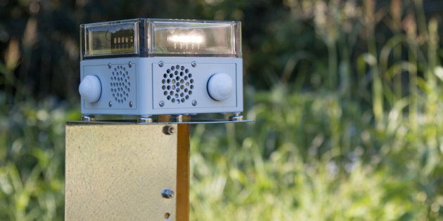 The VPDad uses light and sound to deter animal pests.