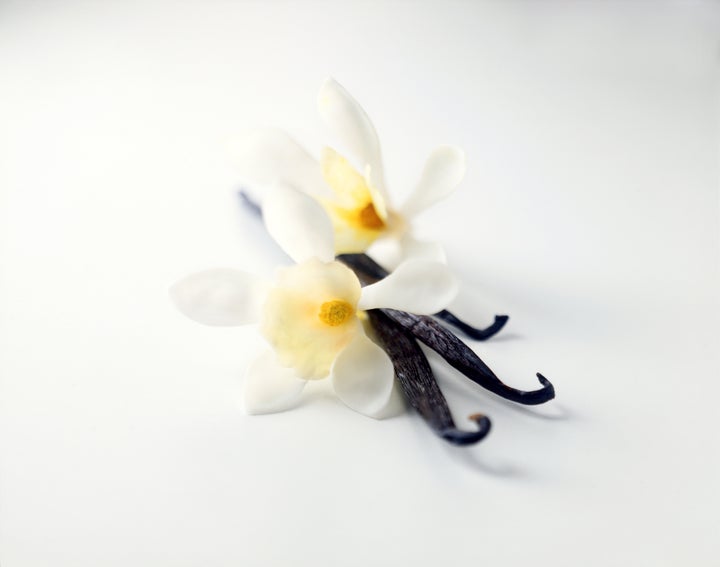 A vanilla bean is actually the pod of an orchid.