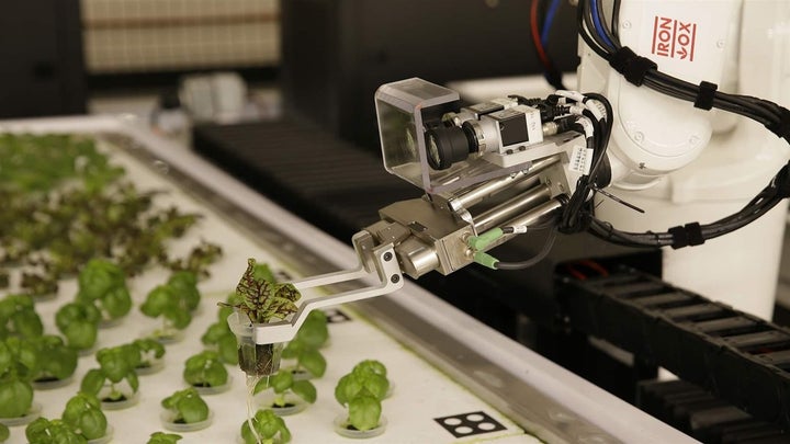 A robotic arm lifts plants being grown at Iron Ox, a robotic indoor farm, in San Carlos, California. Science and technology w