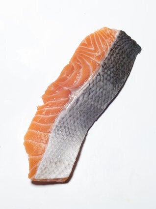 Salmon