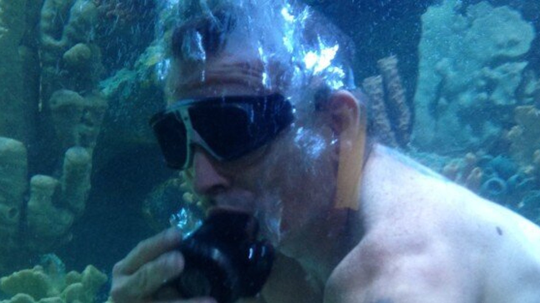 Kelowna Restaurant Features Chef Diving In Giant Aquarium HuffPost null