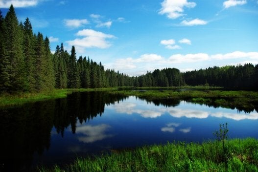 Algonquin Provincial Park