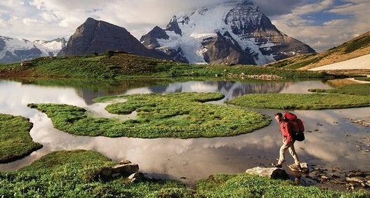 Mount Robson Provincial Park, Southern Interior