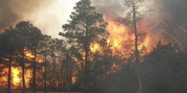 This was a wildfire in the Northern part of New Hanover County near Wilmington NC. The fire was being allowed to burn to the open field so it would be easier to stop.