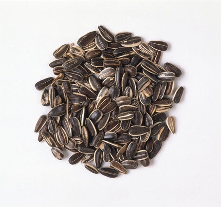 Sunflower Seeds