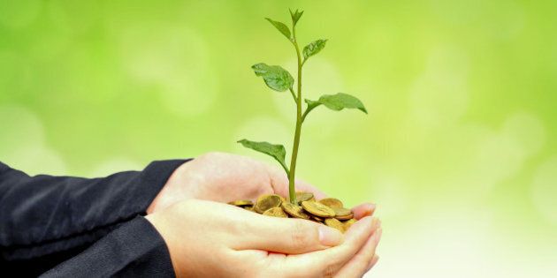 Hands of a businesswoman holding a tree growing on coins with green background - Business growth with csr practice and environmental concern - Business ethics