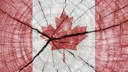 Post-Shooting, Canada Should Fight For Its Public