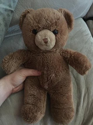 gund bear 1980