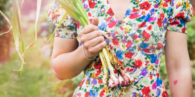 Close up of woman holding harvested garlic bulbs.