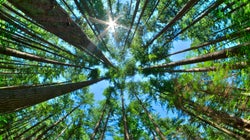 We Need A Green Economy And Climate Agenda For All