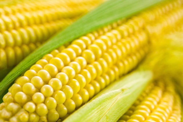 is corn on the cob bad for your colon