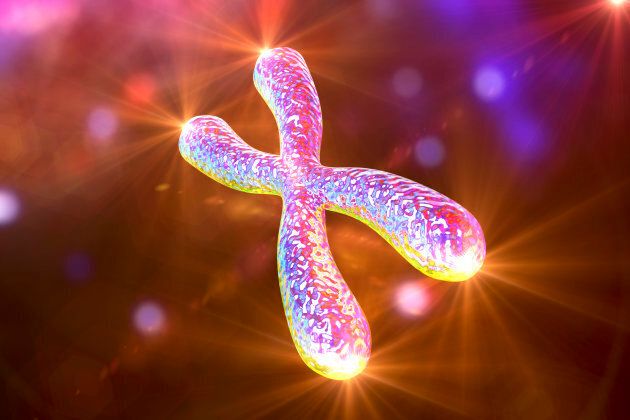 In this rather luminescent illustration is a human chromosome with shining telomeres, the protective caps on the end of the chromosomes.