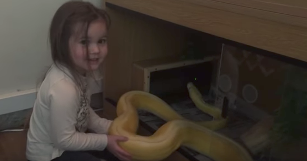 People Aren't Happy With This Dad Who Let His Child Pose With A Python ...