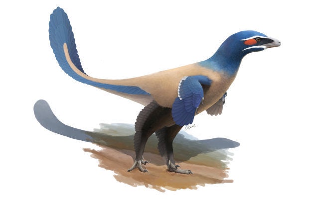 Oliver Demuth recreated what the Albertavenator curriei may have looked like.