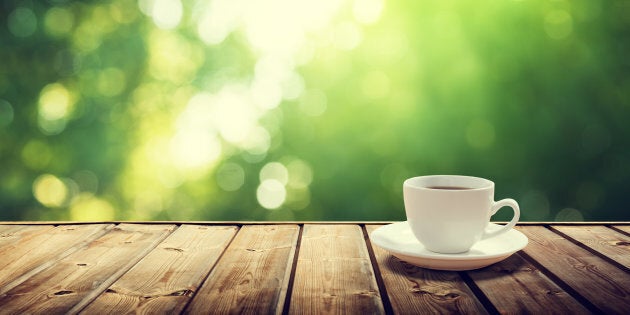 cup coffee and sunny trees background