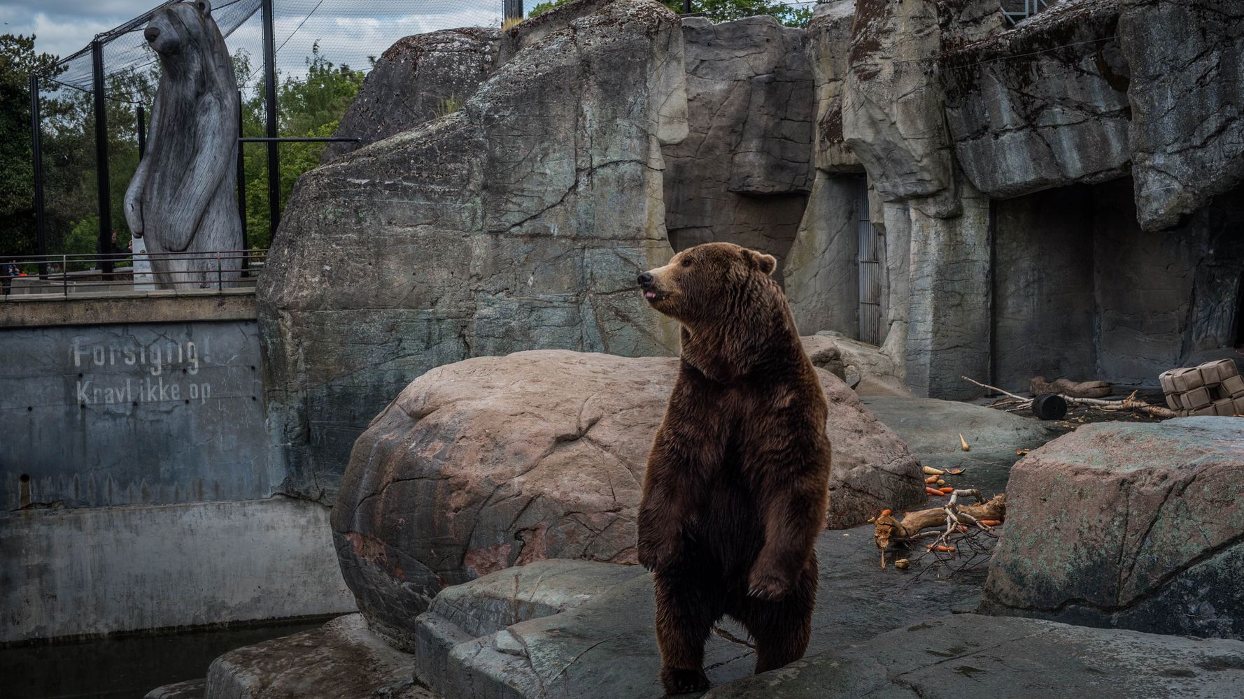 These Images Of Zoo Animals Will Make You See Captivity Differently |  HuffPost Life